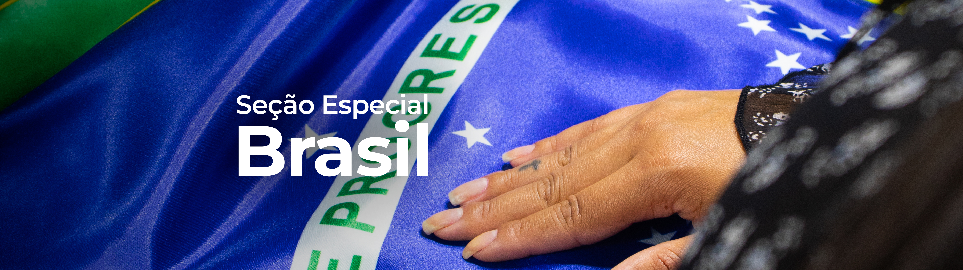 Se��o Brasil